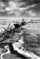 Flotsam on Balmedie Beach
